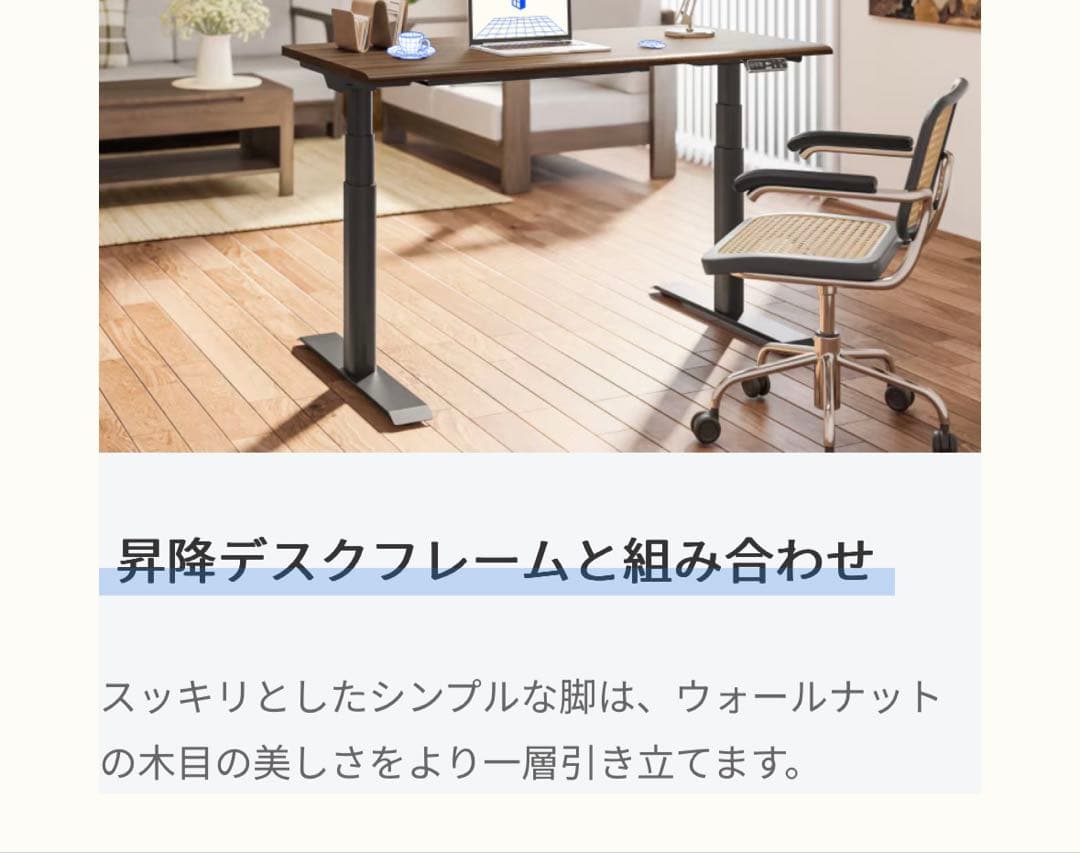 FlexiSpot E7 電動昇降スタンディングデスク 純正天板E7HB付き