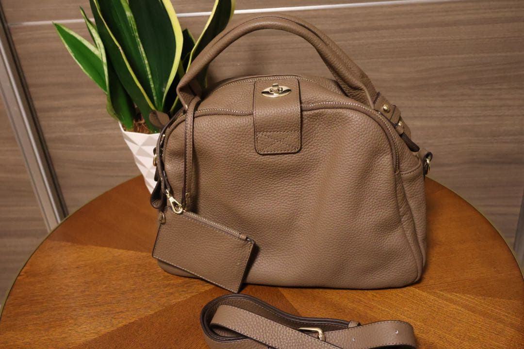 HAYNI ミニロシェ