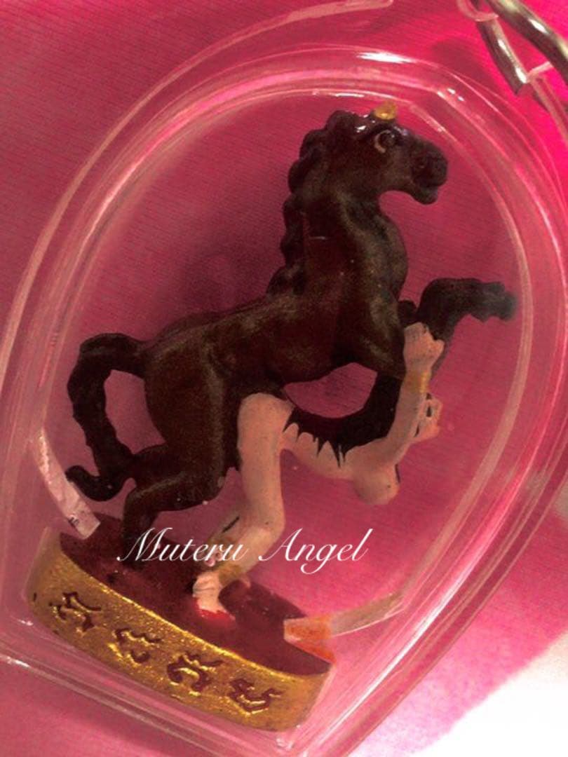 マーセブナーン(茶色馬)プラクルアン☆