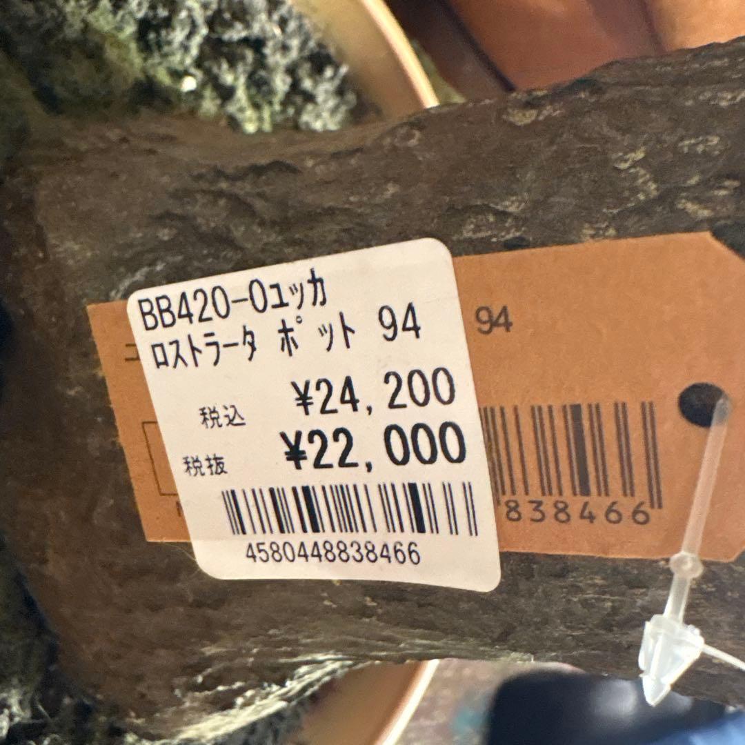 ユッカ ロストラータ フェイクグリーン