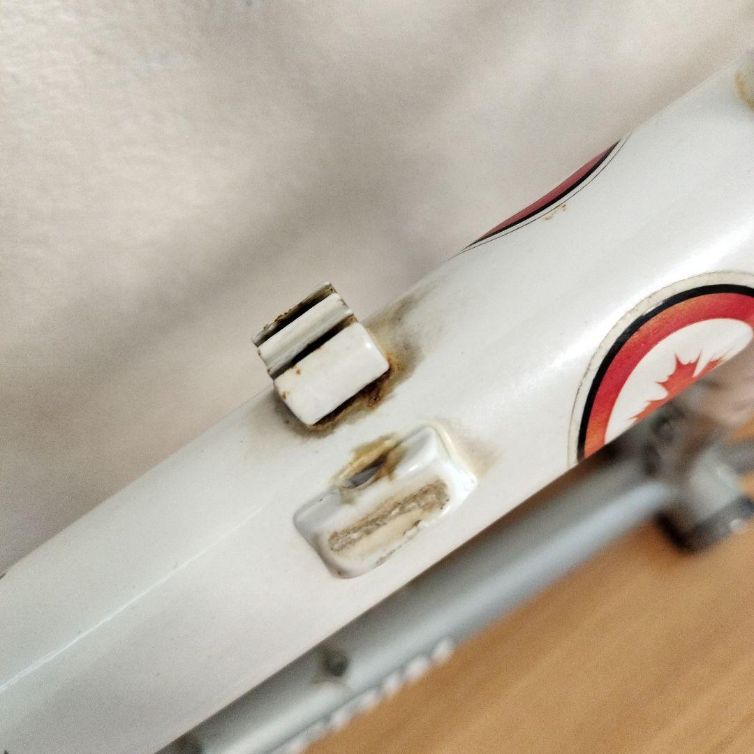 く*ー様 ROCKY MOUNTAIN BLIZZARD MTBフレーム　電蝕ジ