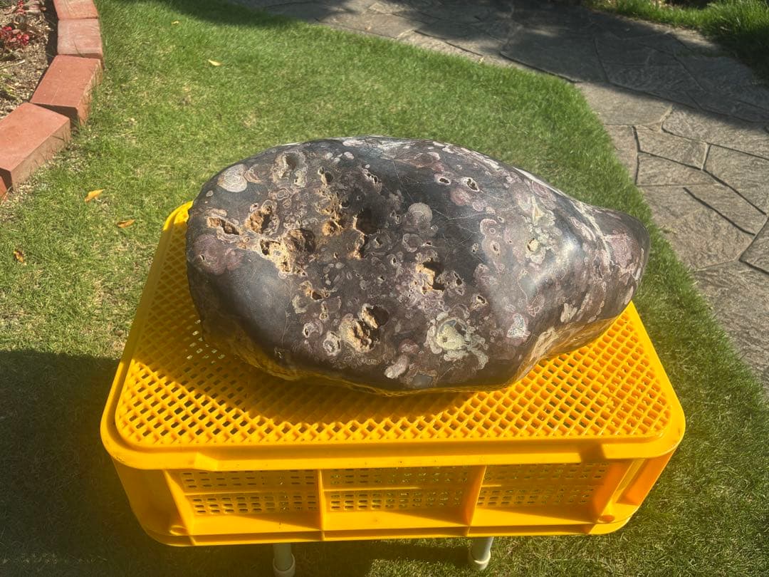 【梅花石】天然模様 大型観賞石 水石 コレクション インテリア