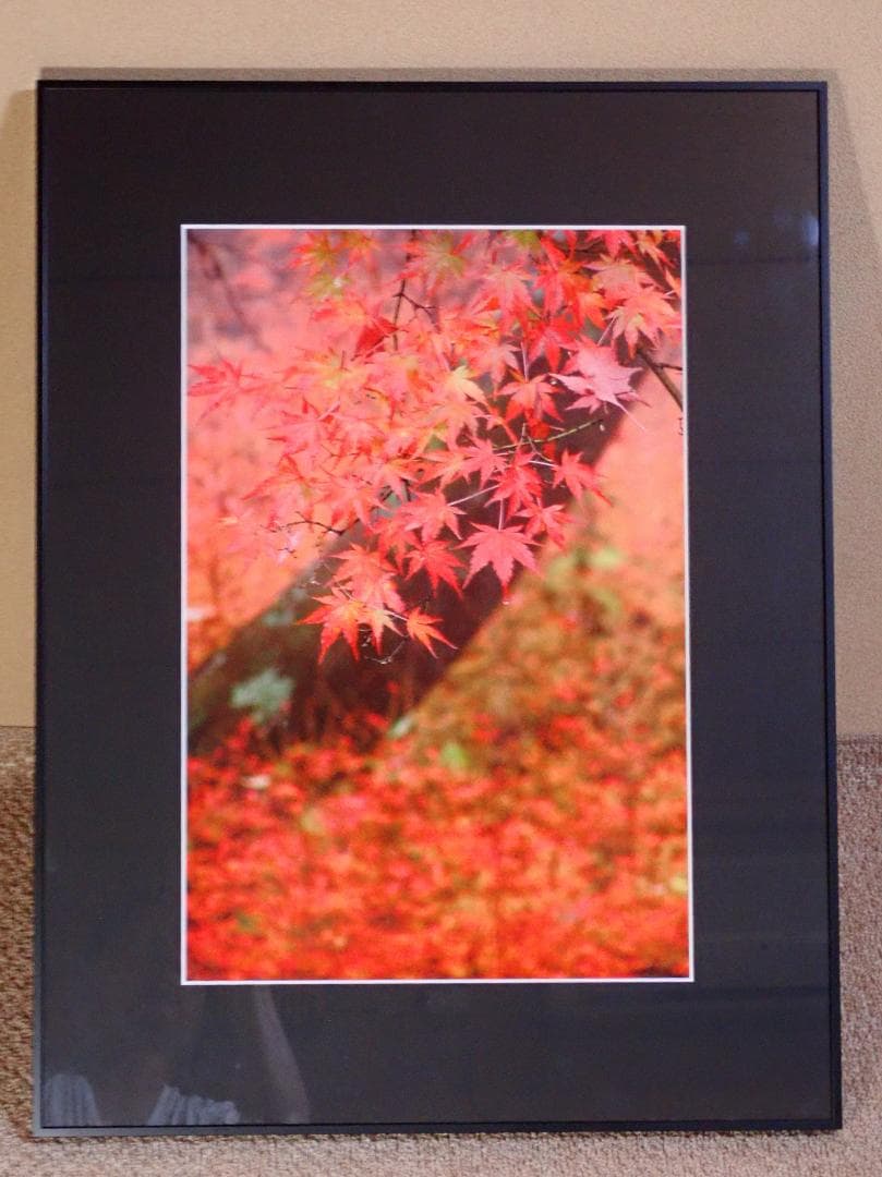 【伊那谷の写真】紅葉の写真（A3判約65cmX約50cm。オリジナルフォト）
