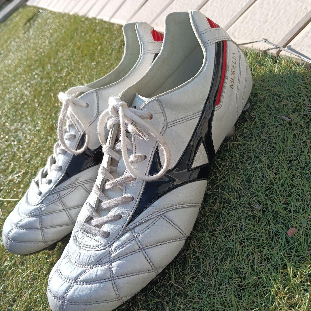 モレリアスパイク