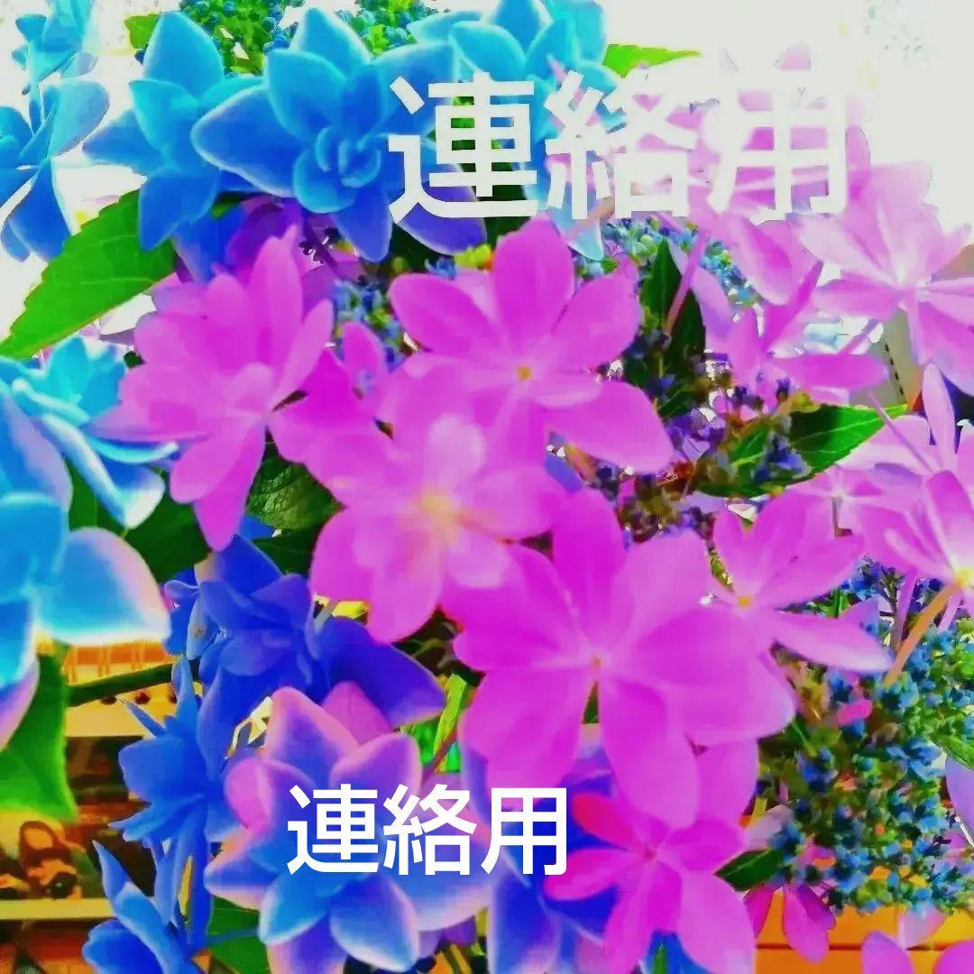 連絡、確認用ページ