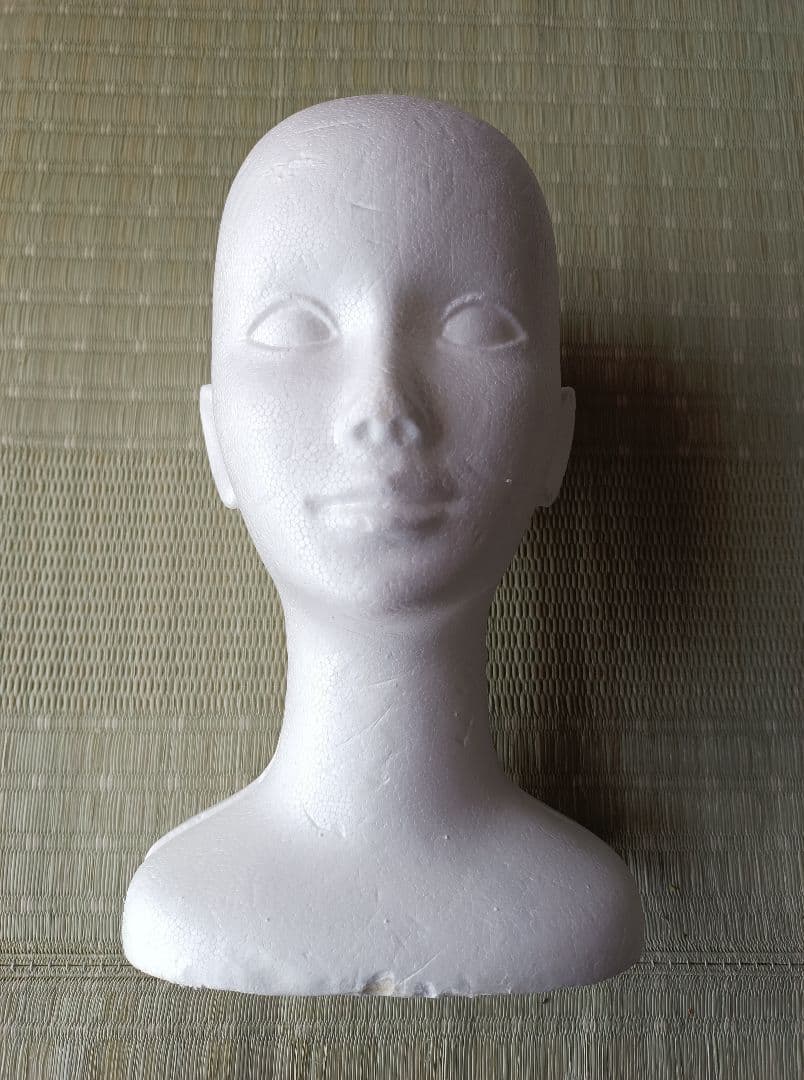 トルソー マネキン 腕付きトルソー 可動式 アーム付き ＋ おまけ欲しい人のみ