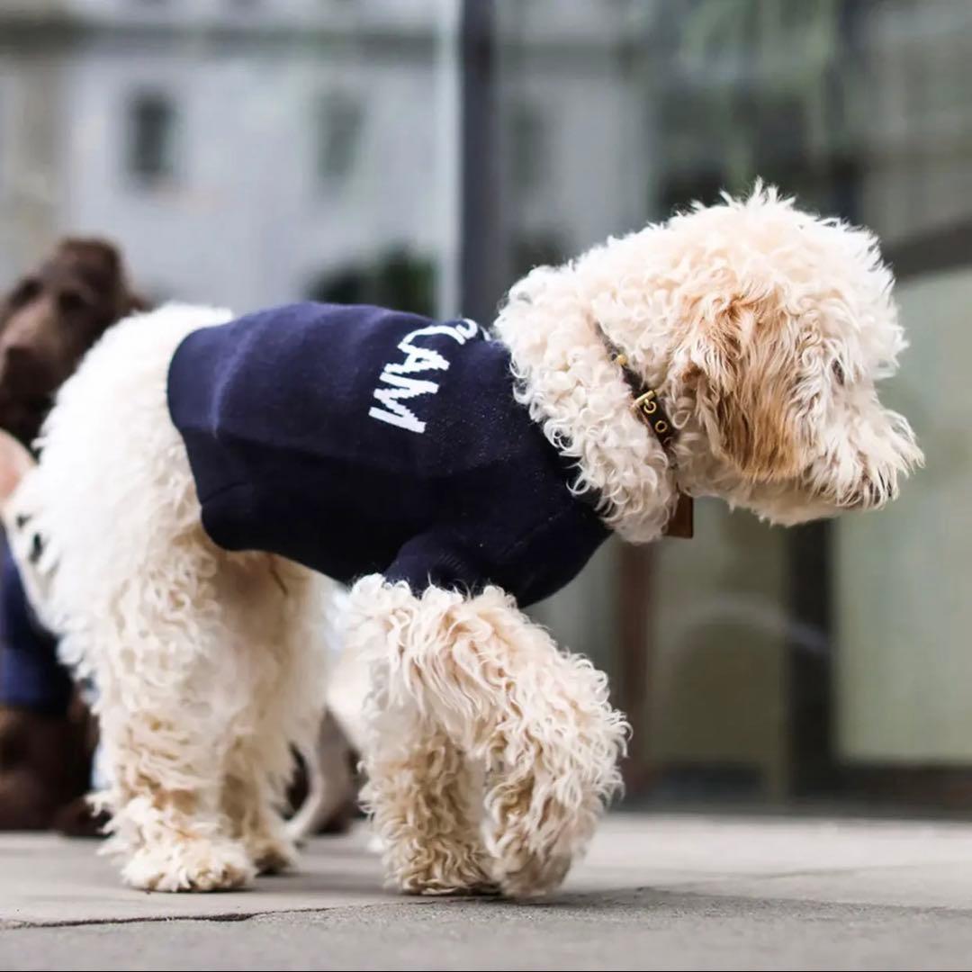 【OVER GLAM】犬服まとめ売り セット S 首輪リード付 定価10万円相当