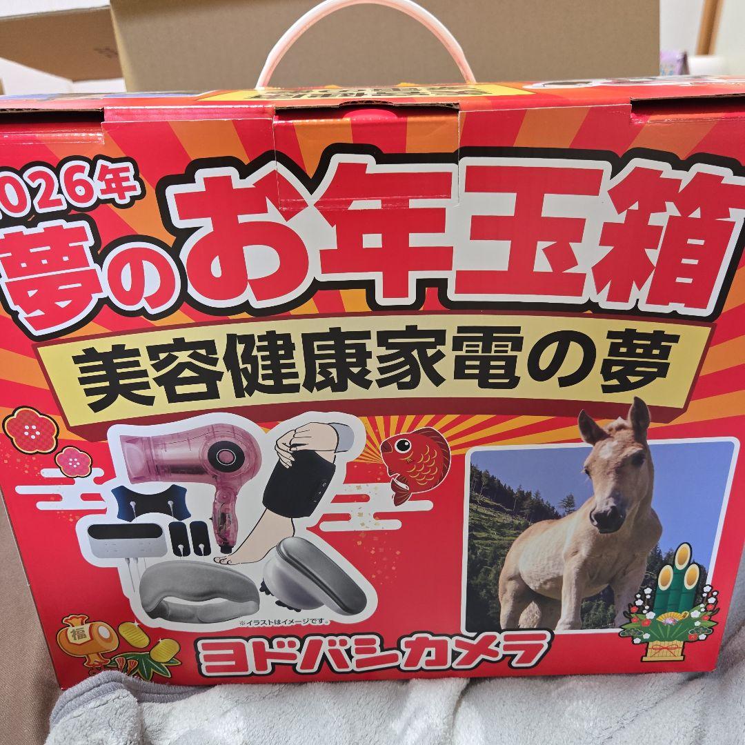 (ヨドバシカメラ)2026年夢のお年玉箱美容健康の夢(中抜きなし)