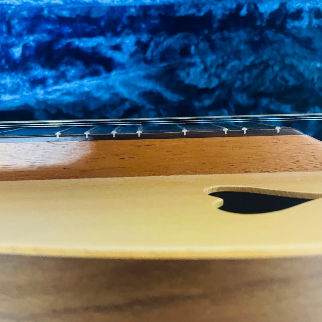 【美品】BLUE LION マウンテンダルシマー　JRW ハードケース付き