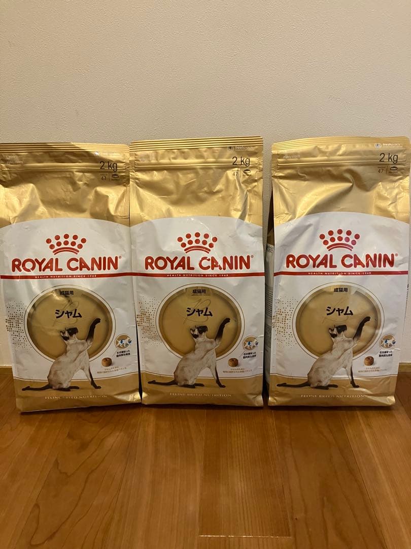 【2kg×3袋】ロイヤルカナン シャム ドライキャットフード