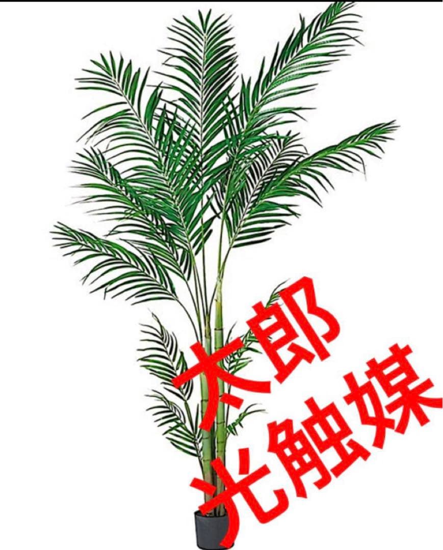 光触媒　人工観葉植物　ウォールグリーン　フェイクグリーン　アレカヤシ210