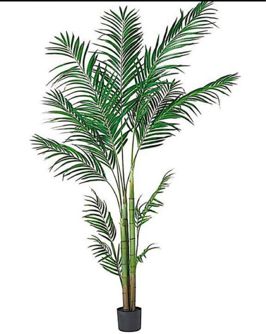 光触媒　人工観葉植物　ウォールグリーン　フェイクグリーン　アレカヤシ210