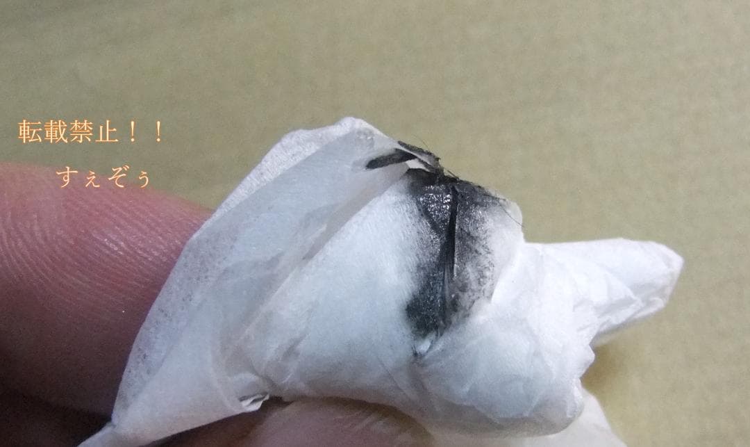 レア木「DW使用 」槌目鍛造V金10号ダマスカス牛刀215mm。本刃付済　木鞘付