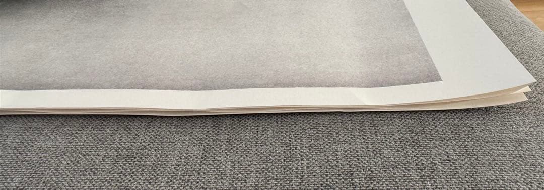 カールブロスフェルト Karl Blossfeldt ポスター インテリア