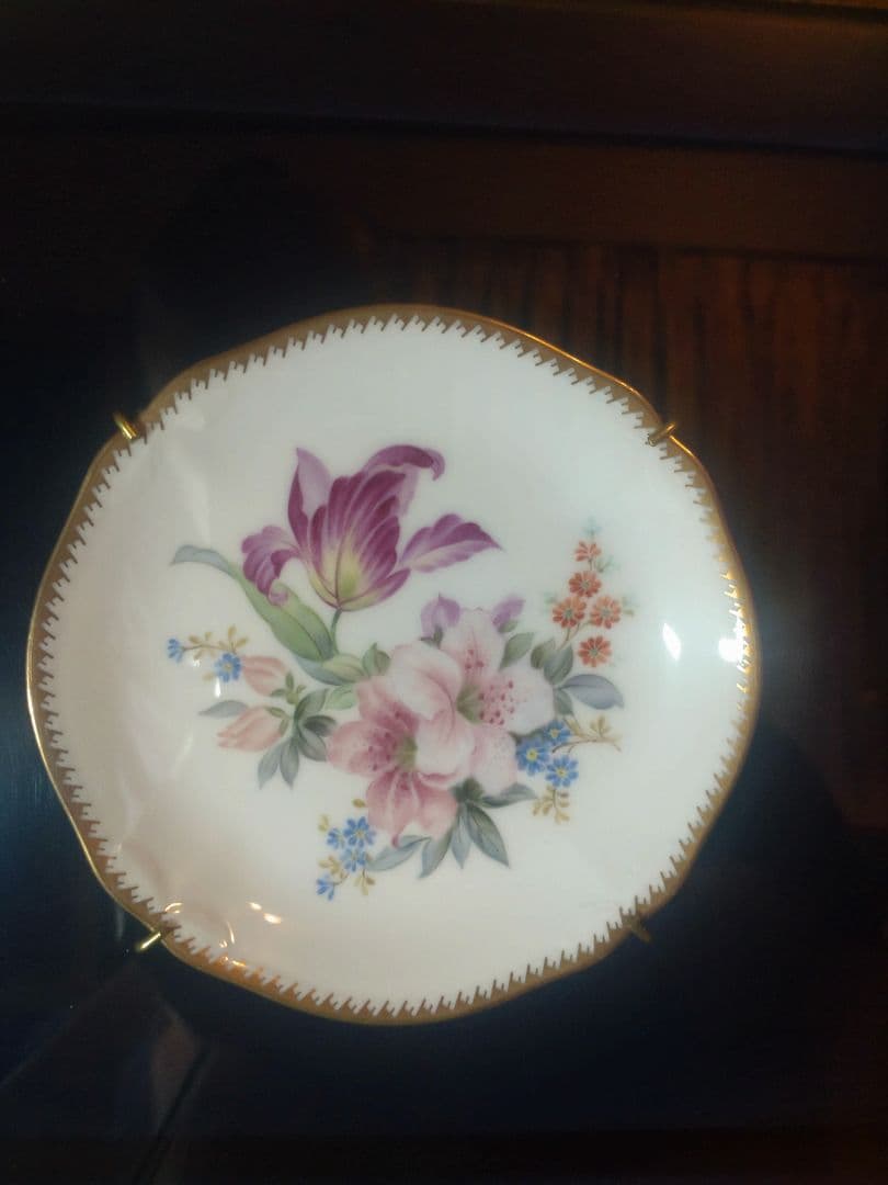 ノリタケハンドペイント素描画皿５枚