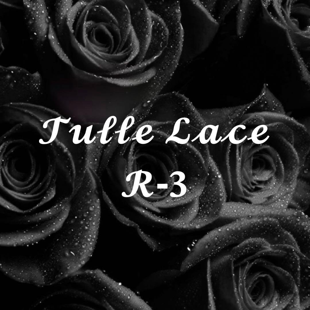 チュールレース一覧 R-3