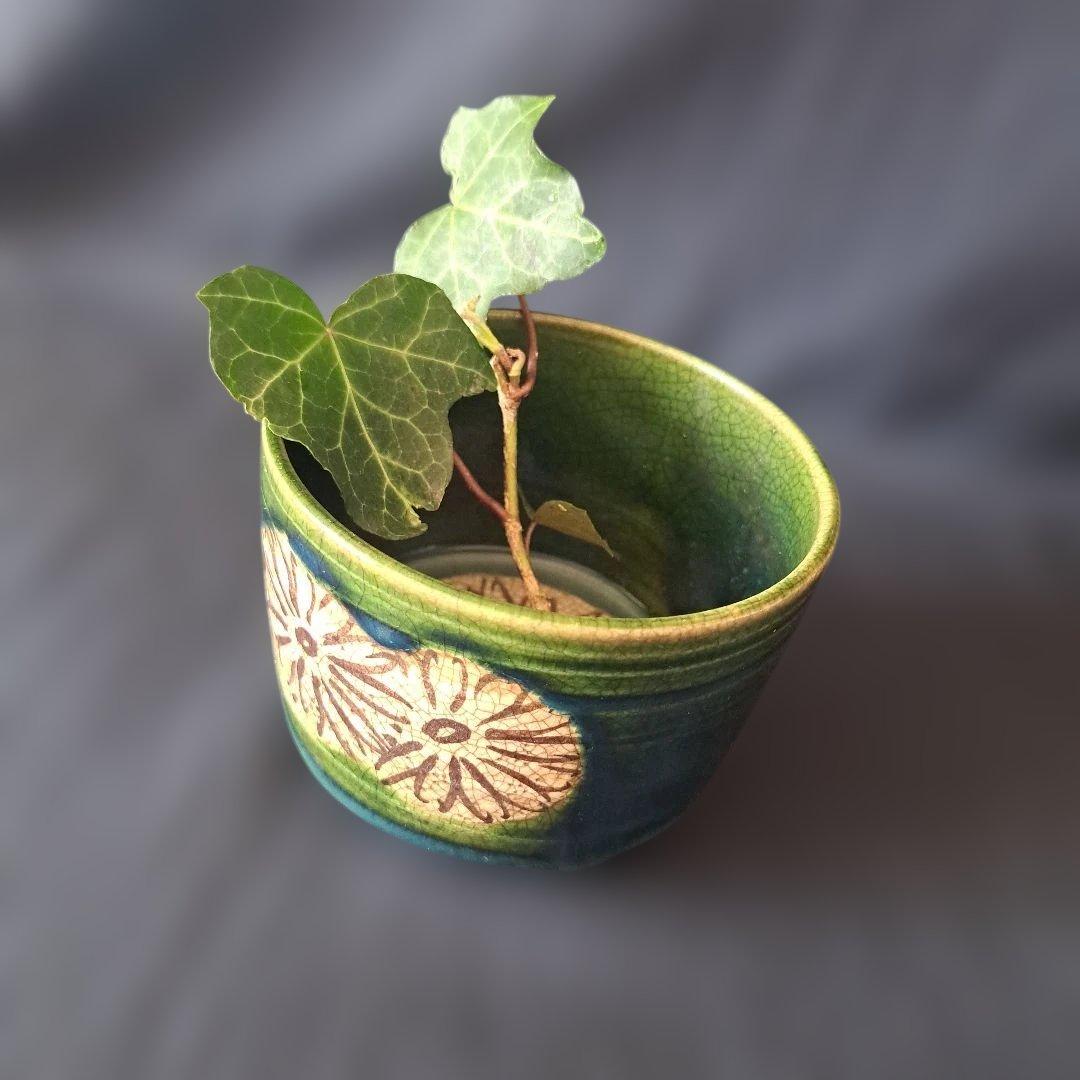 「菊花に、織部(おりべ)の深い緑」京焼き向付(直径9.5cm) 2客セット　骨董