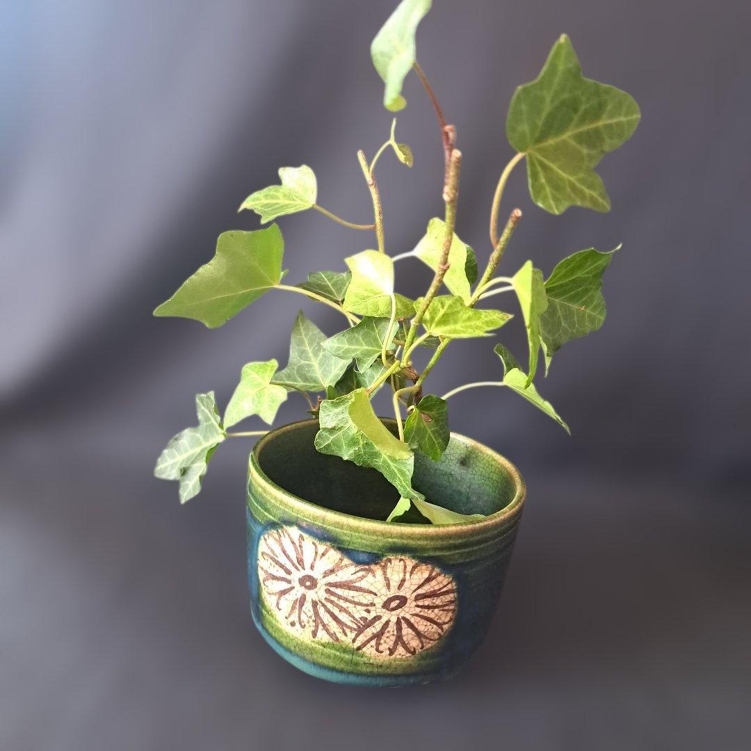 「菊花に、織部(おりべ)の深い緑」京焼き向付(直径9.5cm) 2客セット　骨董