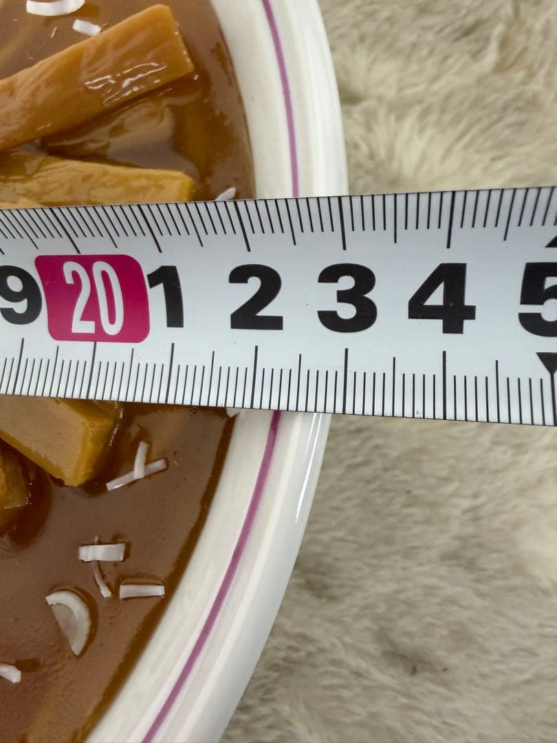 昭和レトロ 食品サンプル 中華そば 日本製 職人手作り リアル模型