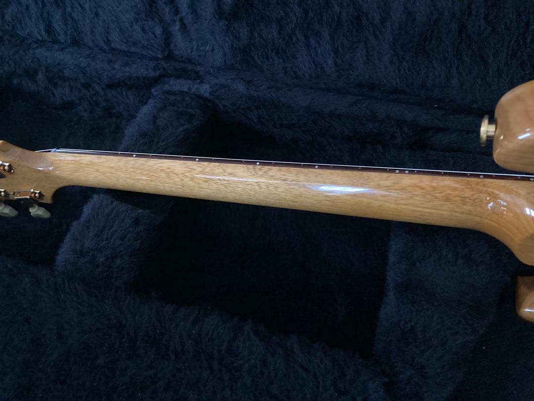 PRS McCarty Korina Paul Reed Smith コリーナ