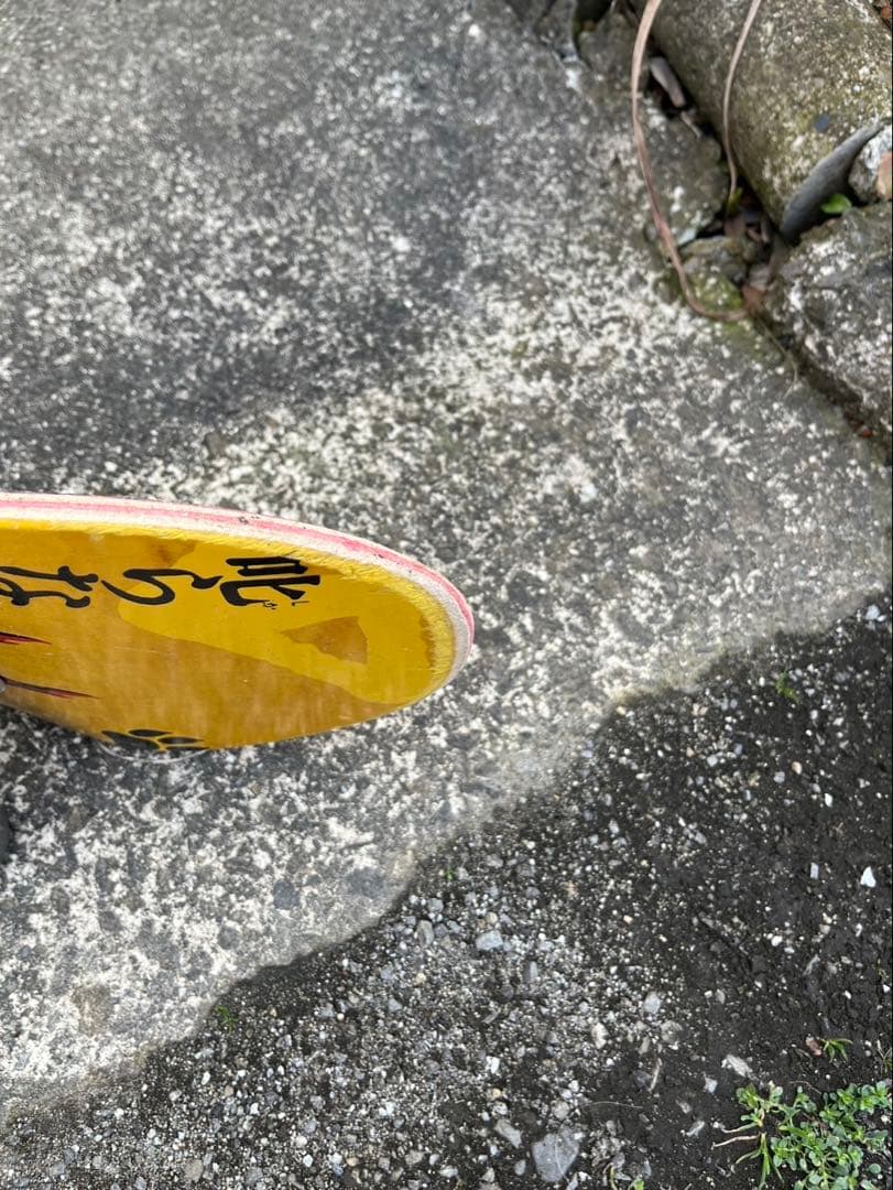 evisen スケートボード コンプリート8.125インチ