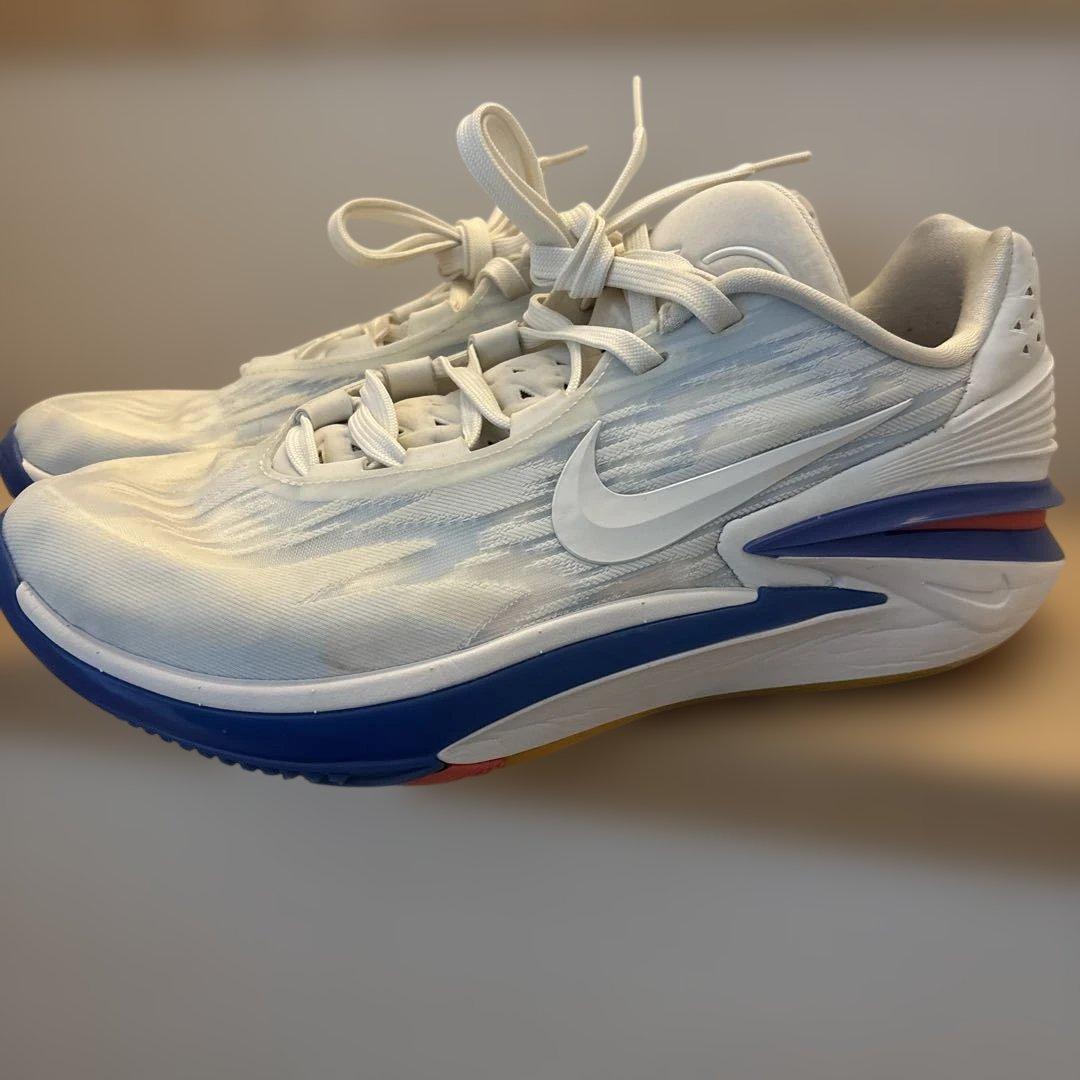 GT CUT 2/ズーム GT カット 2 28cm バッシュ　レア