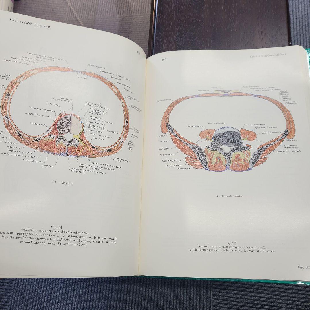 ペルンコップ臨床局所解剖学アトラス 第2巻
