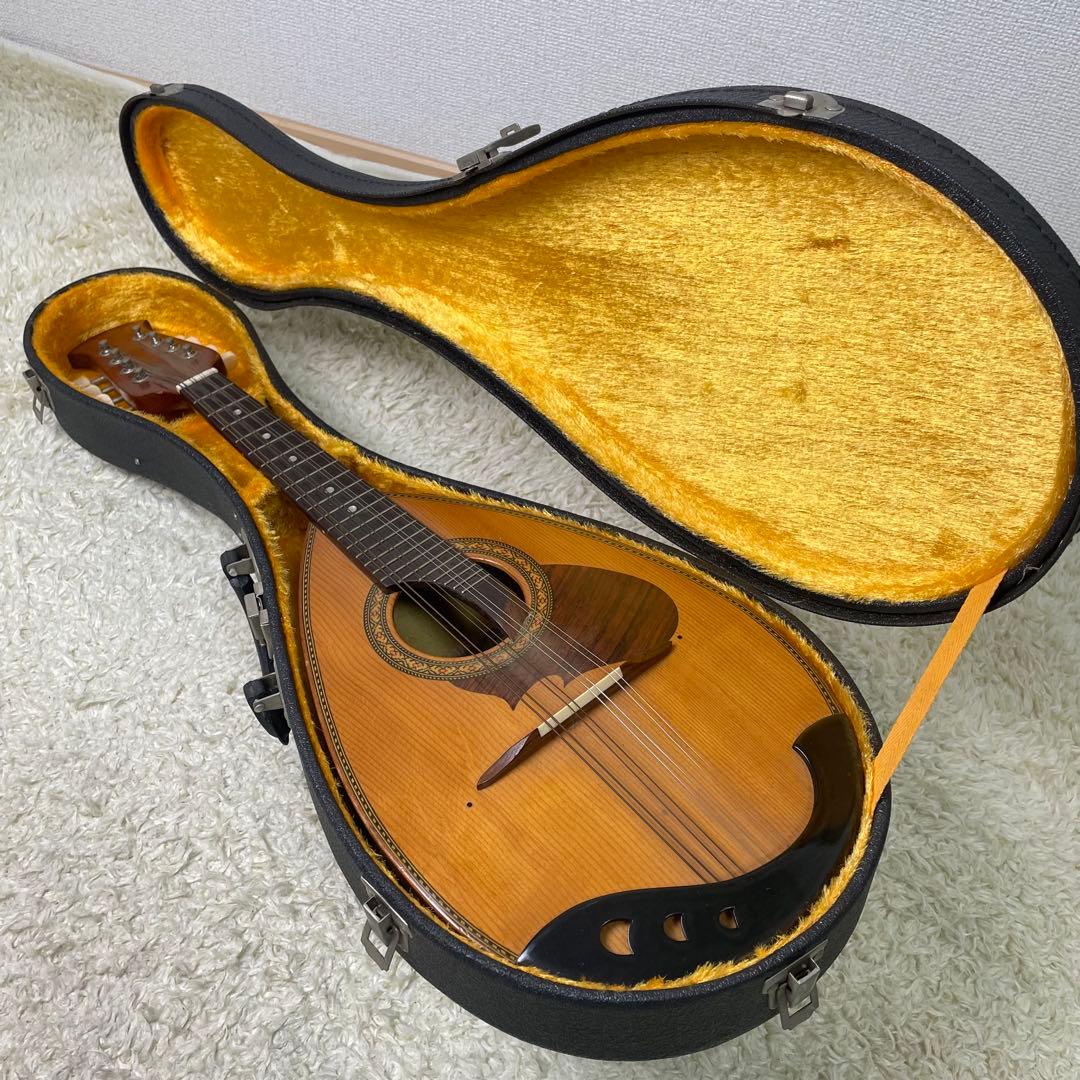 Suzuki M-210 Mandolin スズキ マンドリン　ハードケース付き