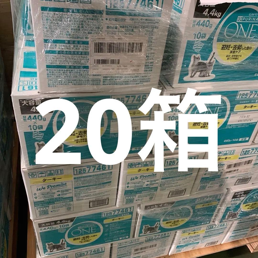 ピュリナ ワン キャットフード 4.4kg 20点セット