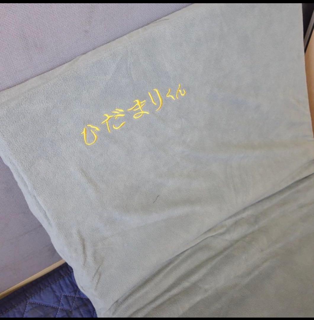 【新品未開封品】トラック用　蓄熱式マット　ひだまりくん　TR II型