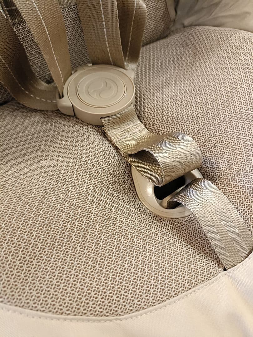 最新モデル 2025 サイベックス リベル アーモンドベージュ