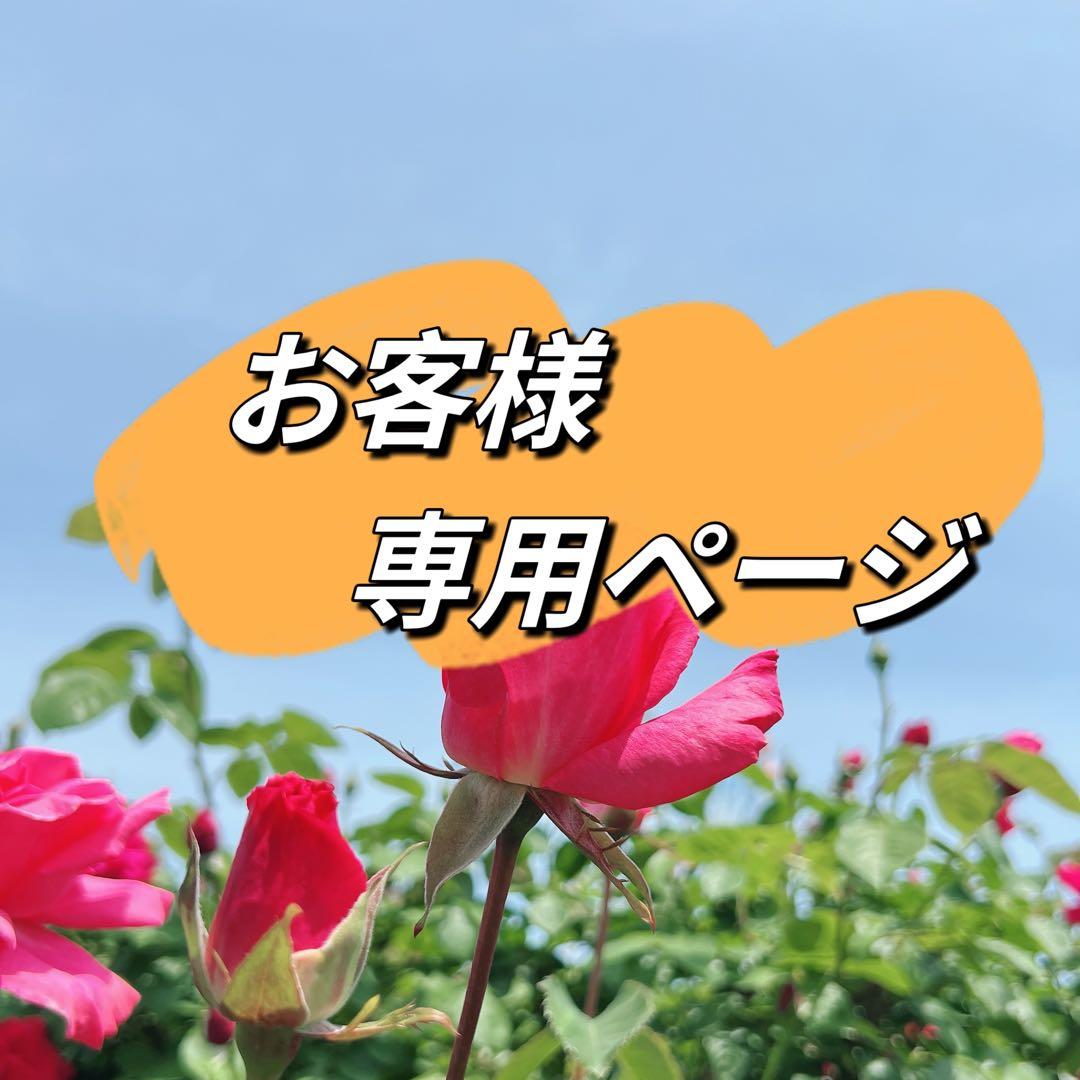 お客ページ　3点まとめ　オイスターバロックパールピアス　ペンダントトップ