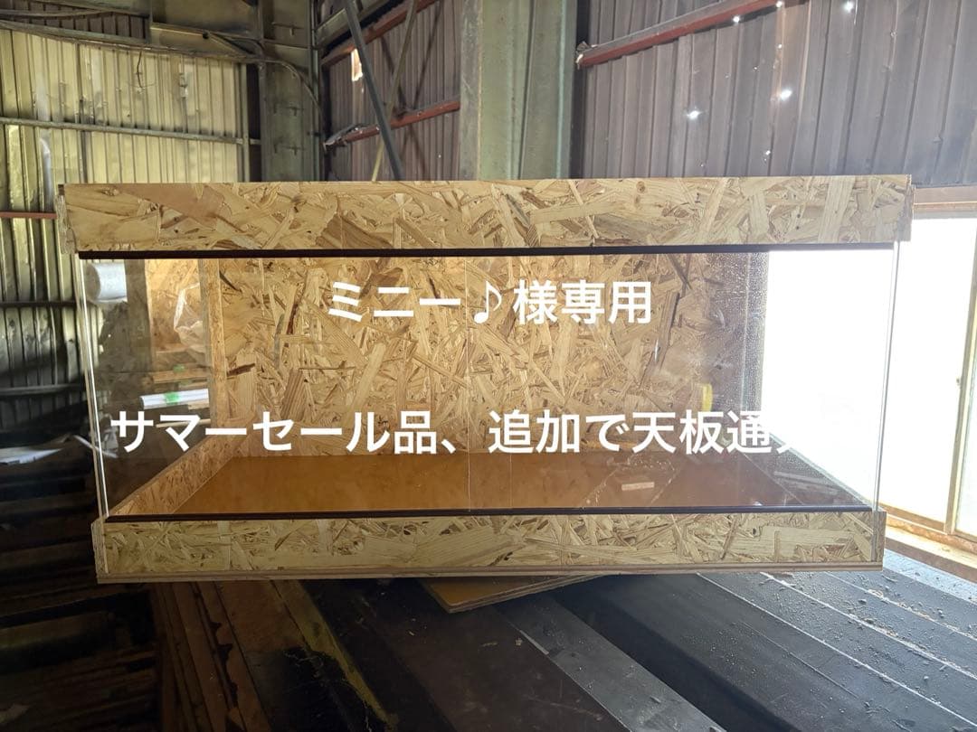 ミニー♪　904545サイドアクリルサマーセール品