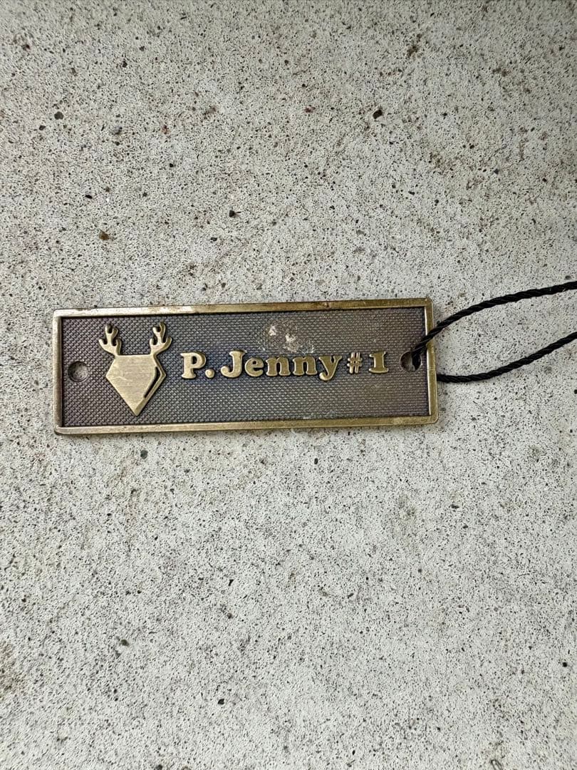 た*し様 ビカクシダ Willinckii ‘Jenny’ #1 OC ジェニー