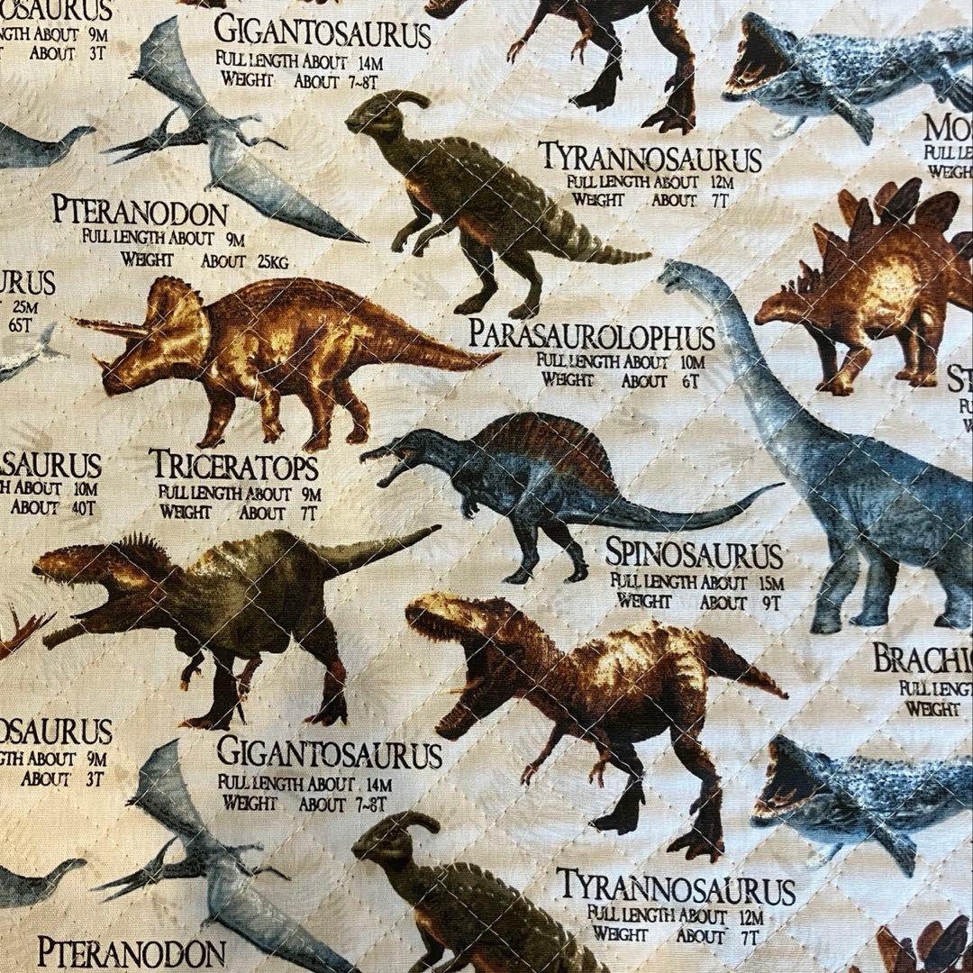 男の子【オーダー 受付中】椅子ポケット　SIポケット　椅子カバー　幼稚園　小学校