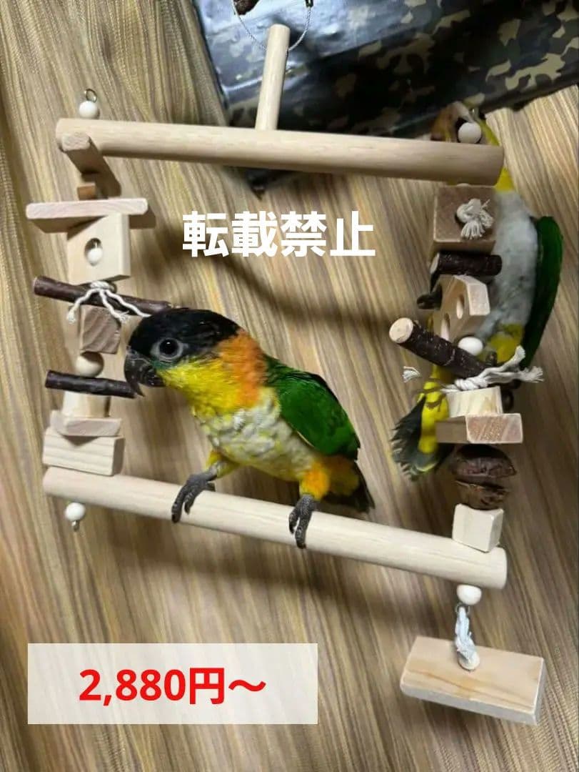 27　自然素材　ブランコ(大)インコ　バードトイ　止まり木