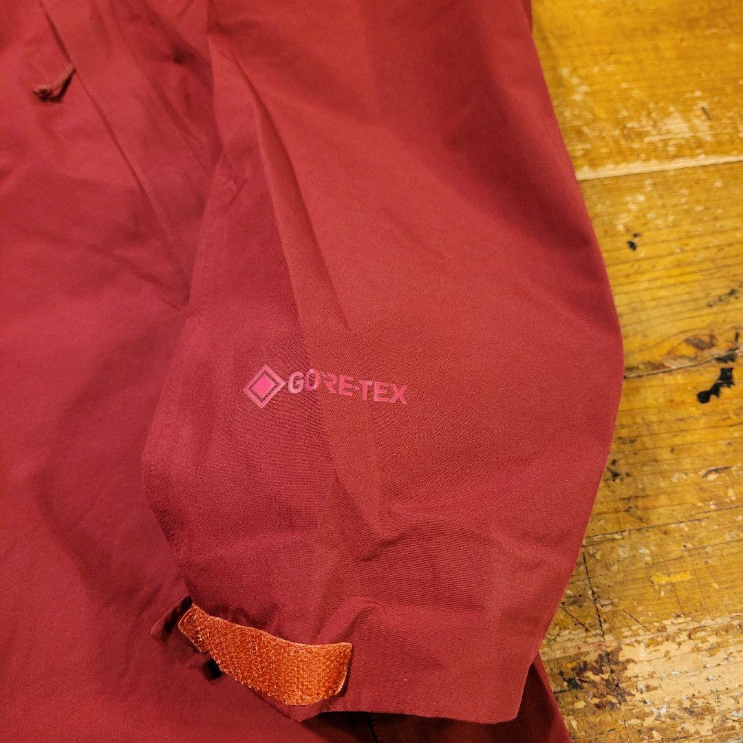 希少 patagonia GORE-TEX デパータージャケット ナイロンパーカ