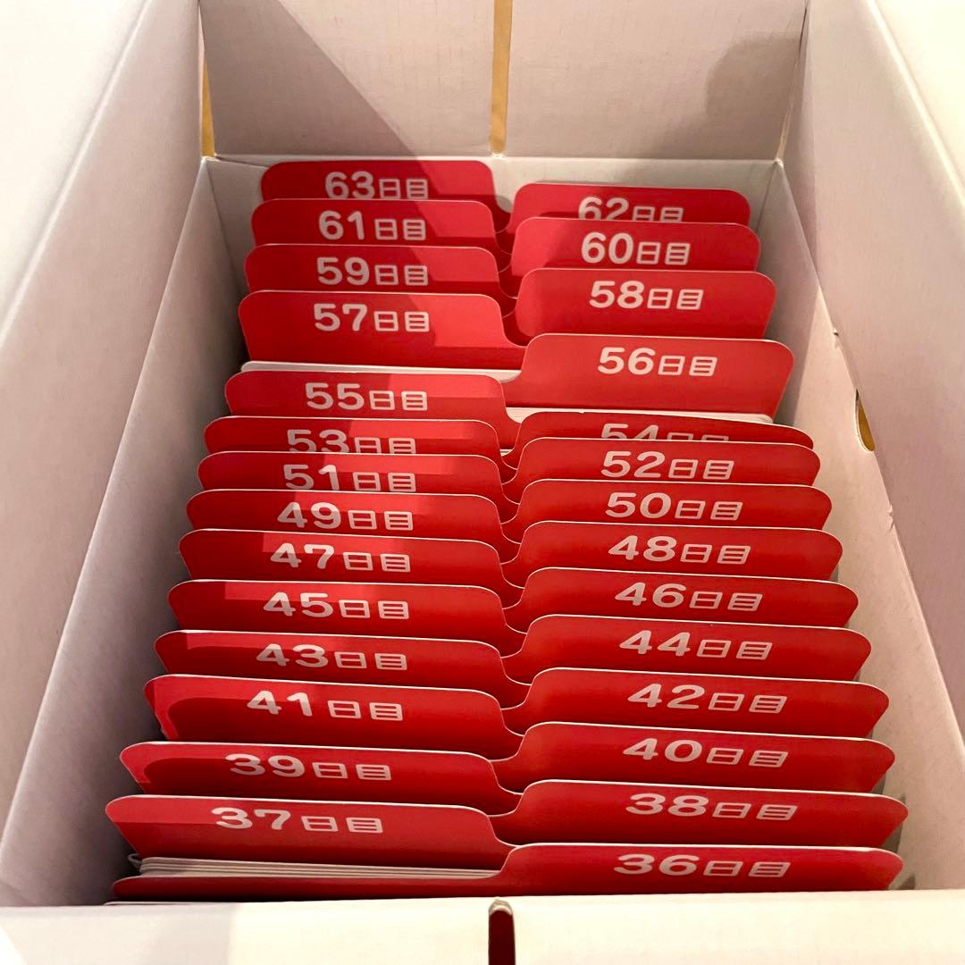 【カード欠品なし】SHICHIDA 七田式 ドッツセット 1〜63日目 一式