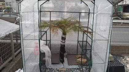 大型PVC温室 143x143x195cm、耐荷重8kg/棚