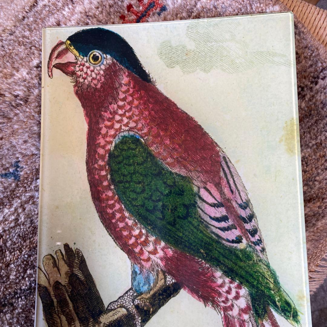 John Derian ジョンデリアン　デコパージュ①35×22㎝