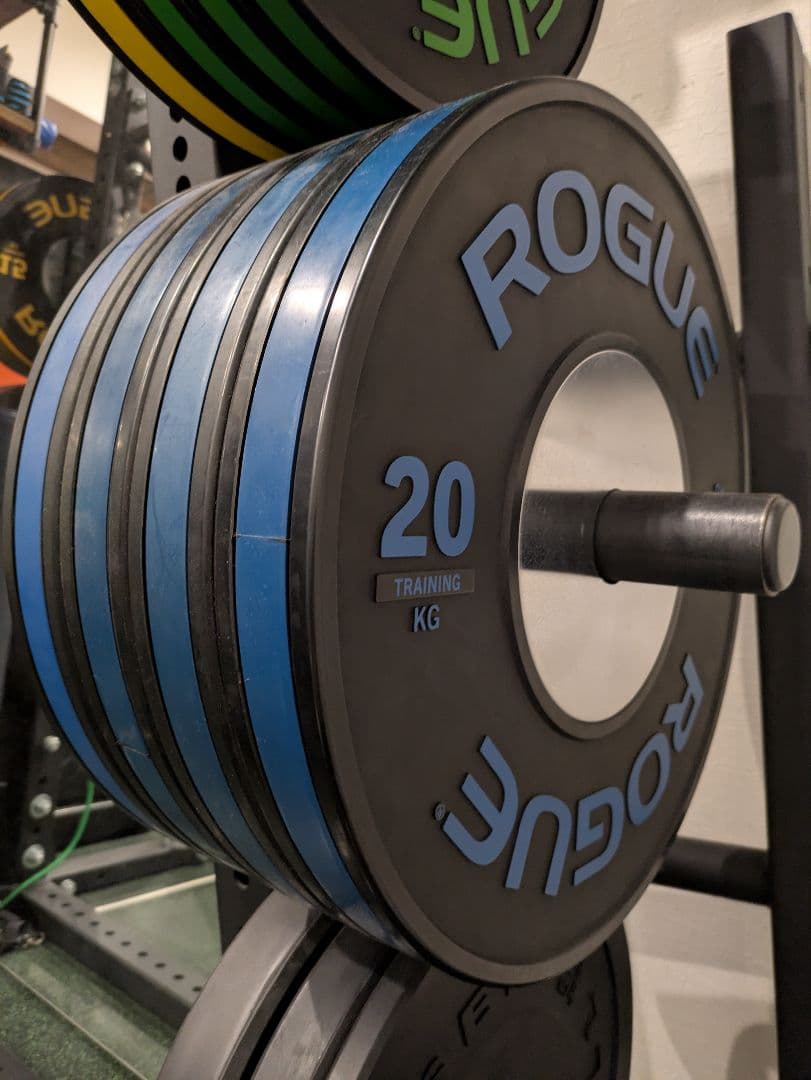 秘*地様 期間限定引き取り値引き　Rogue ハーフラック パワーラック一式セッ