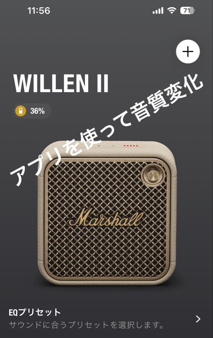Marshall Willen II クリーム