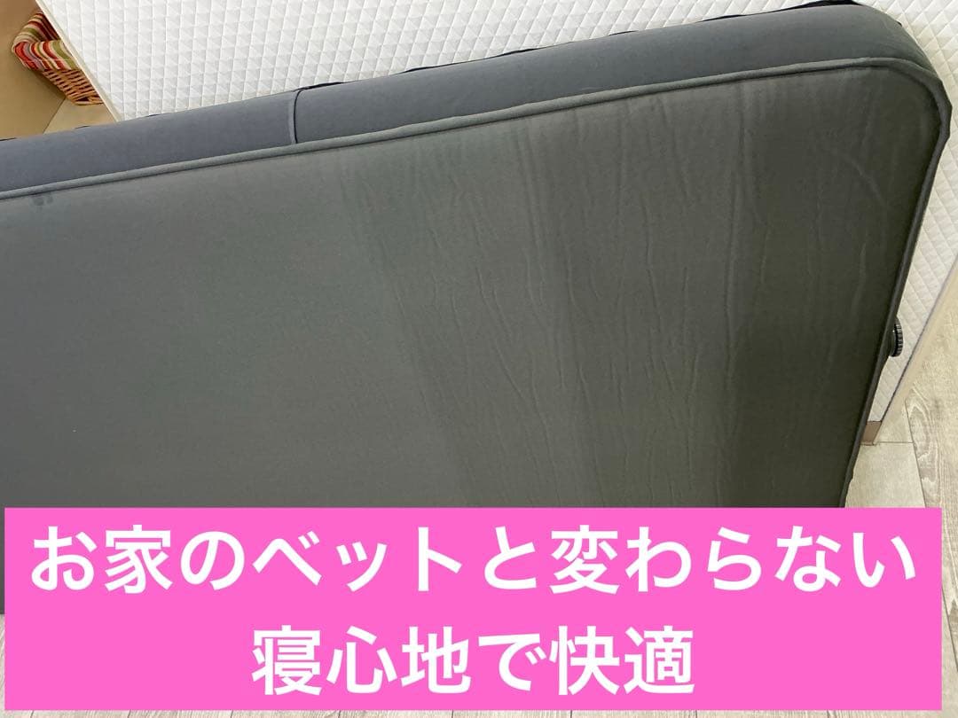 コールマン（Coleman）キャンパーインフレーターマットハイピーク/シングル