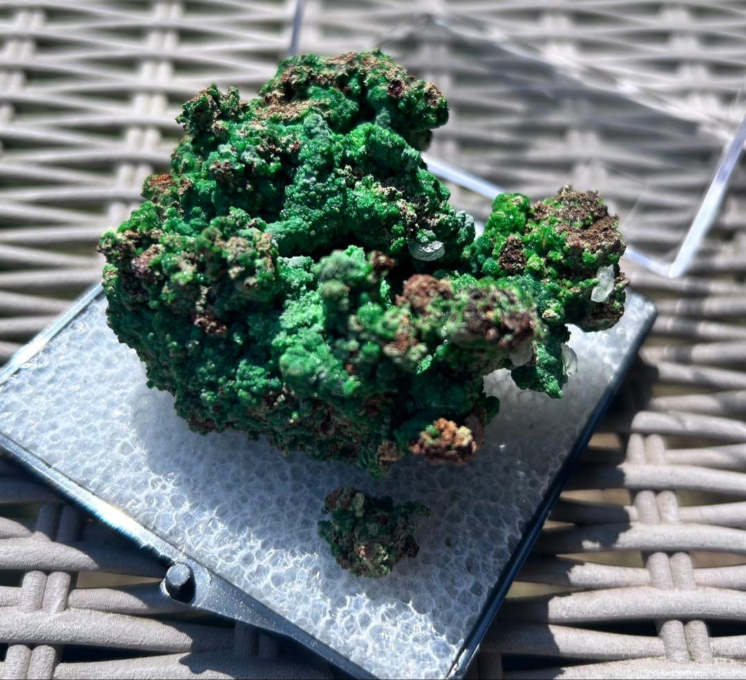 Conichalcite コニカルコ石 鉱物標本