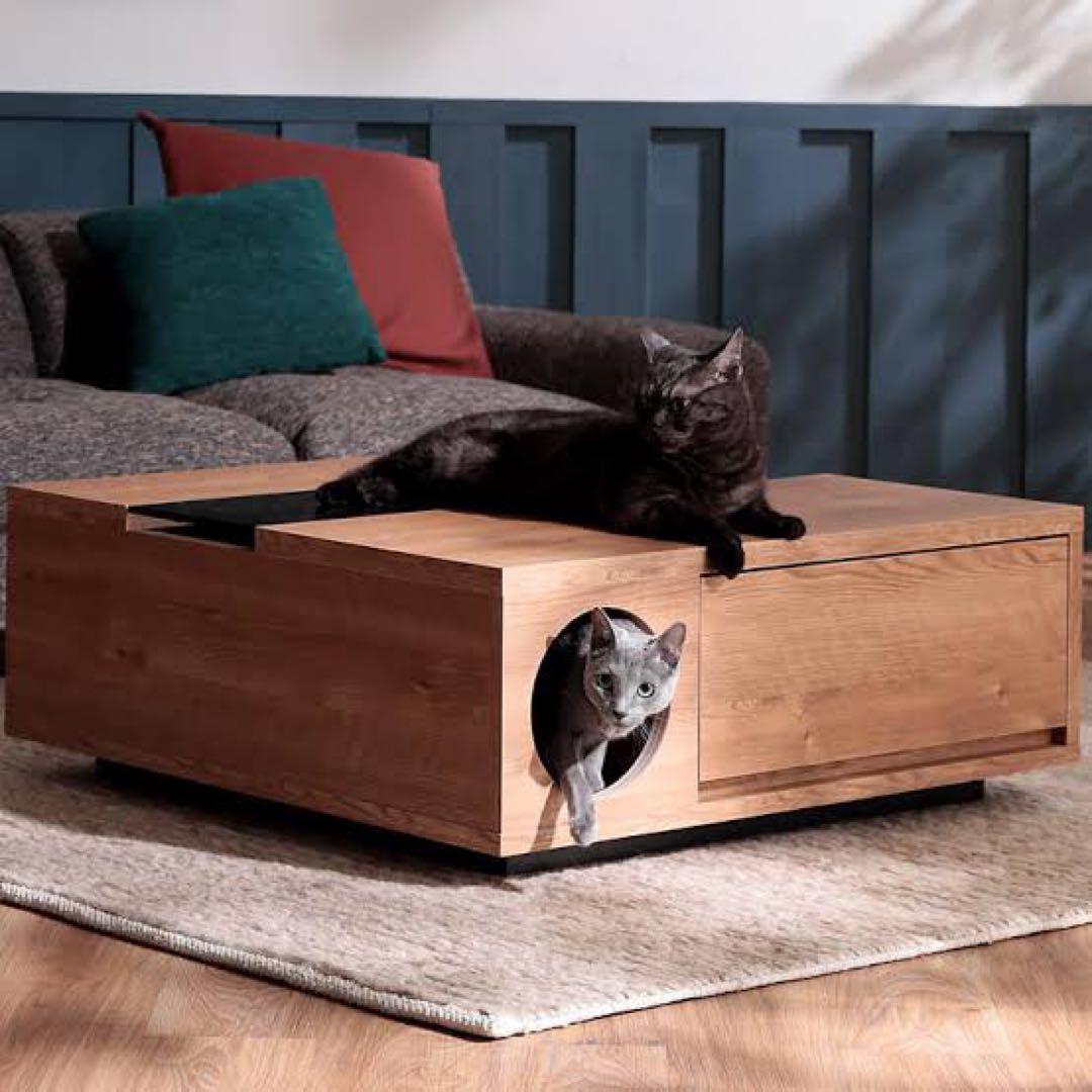LOWYA 猫と暮らそう センターテーブル　ローテーブル　ロウヤ