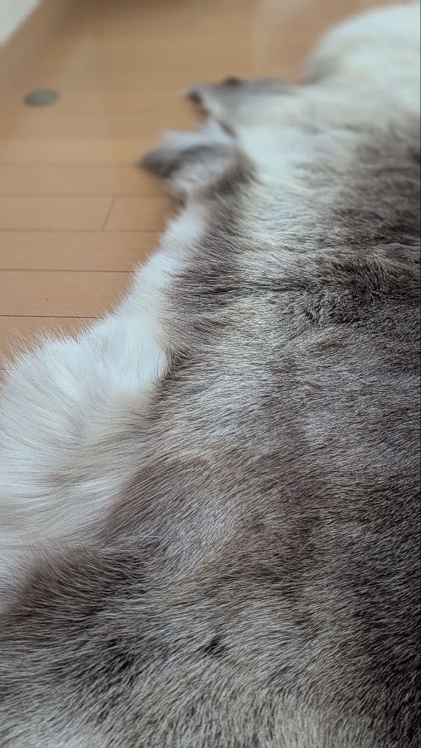 トナカイ毛皮