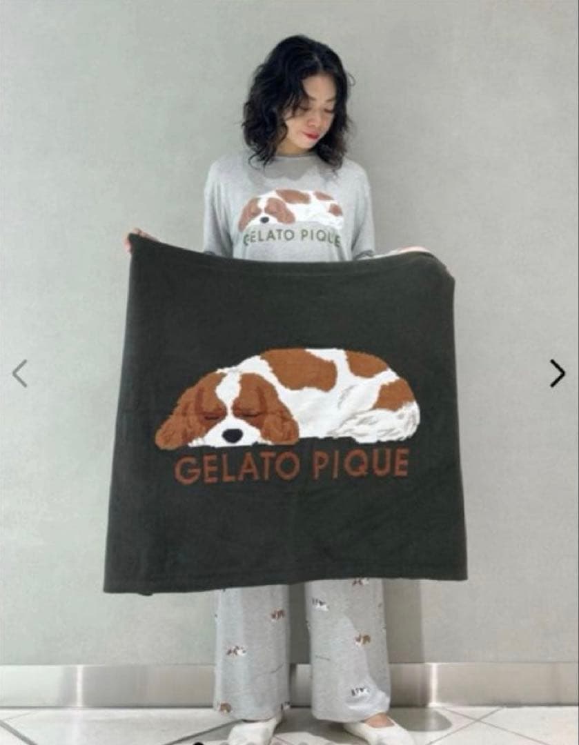 新品ジェラートピケ SLEEPING DOG ジャガードブランケット☆キャバリア