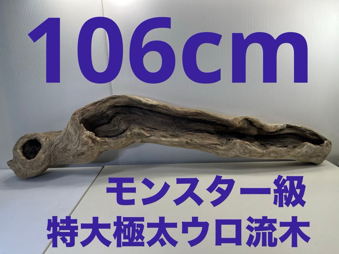 V3 特大流木 アク抜き済み流木 爬虫類シェルター 登り木 インテリア 生け花