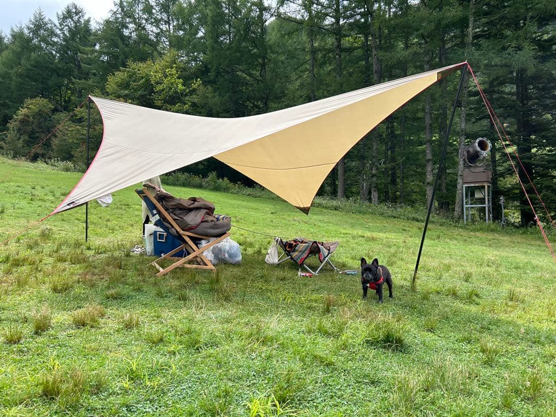 MSR 19‘ParaWing 19フィートパラウィング