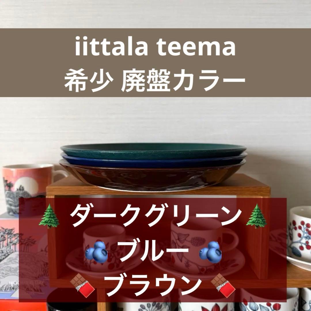 希少 廃盤 teema ティーマ ダークグリーン ブラウン ブルー 26cm